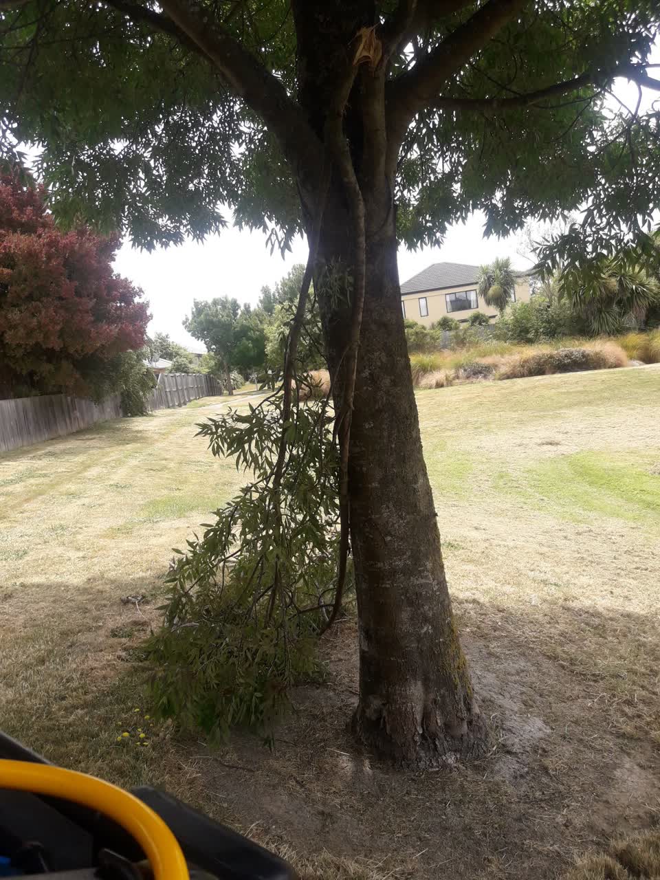 The photograph attached to this parks report