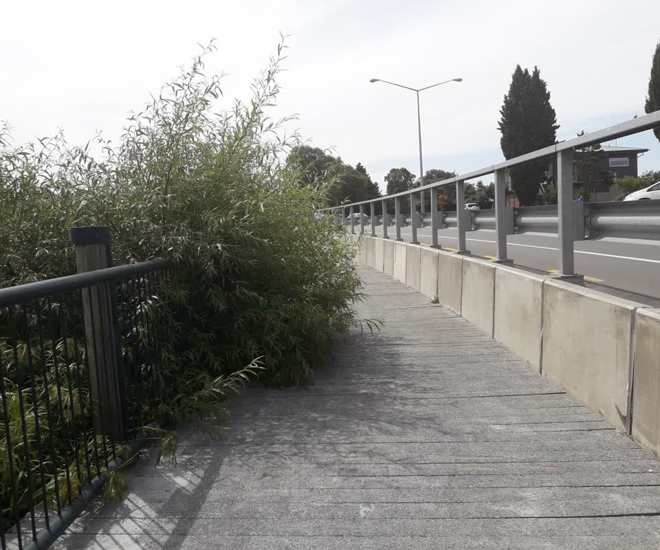 The photograph attached to this parks report