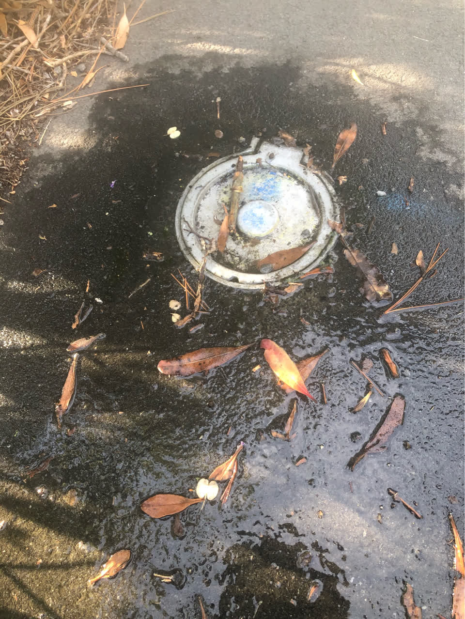 The photograph attached to this flooding report