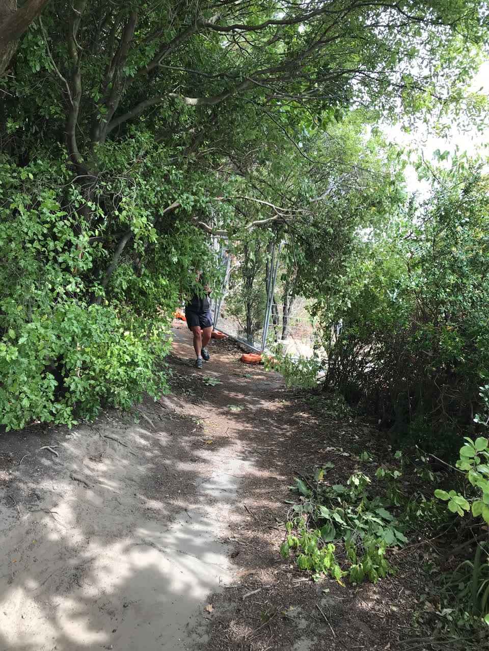 The photograph attached to this parks report