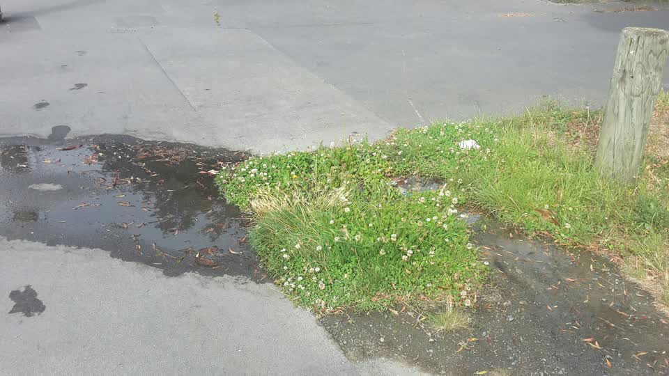 The photograph attached to this water supply report
