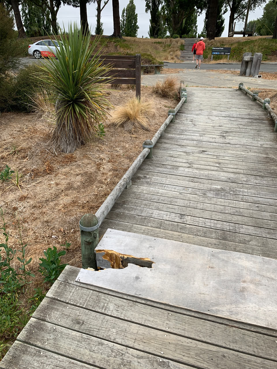 The photograph attached to this parks report