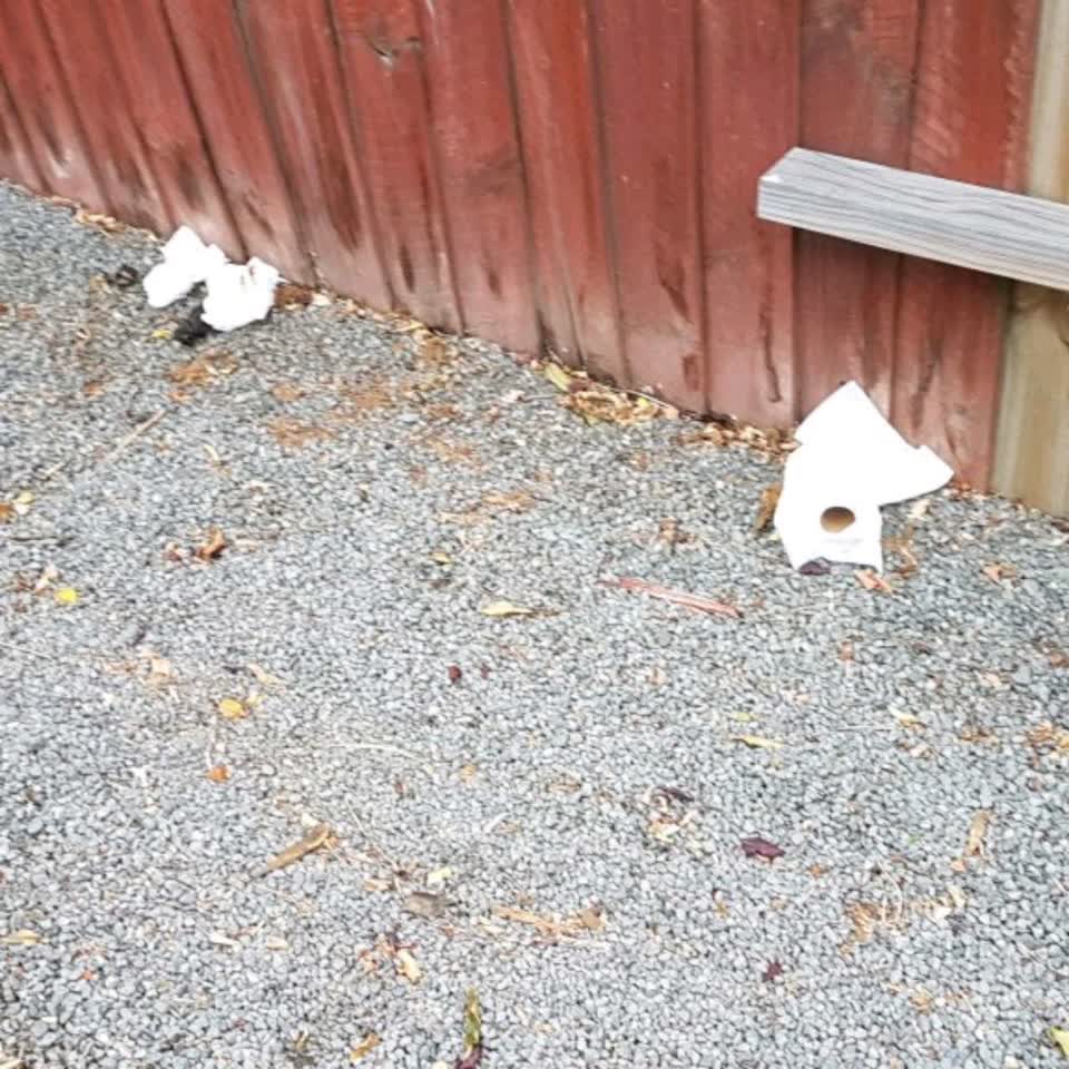 The photograph attached to this rubbish/recycling report