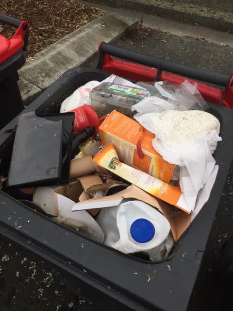Rubbish/Recycling, a report photo