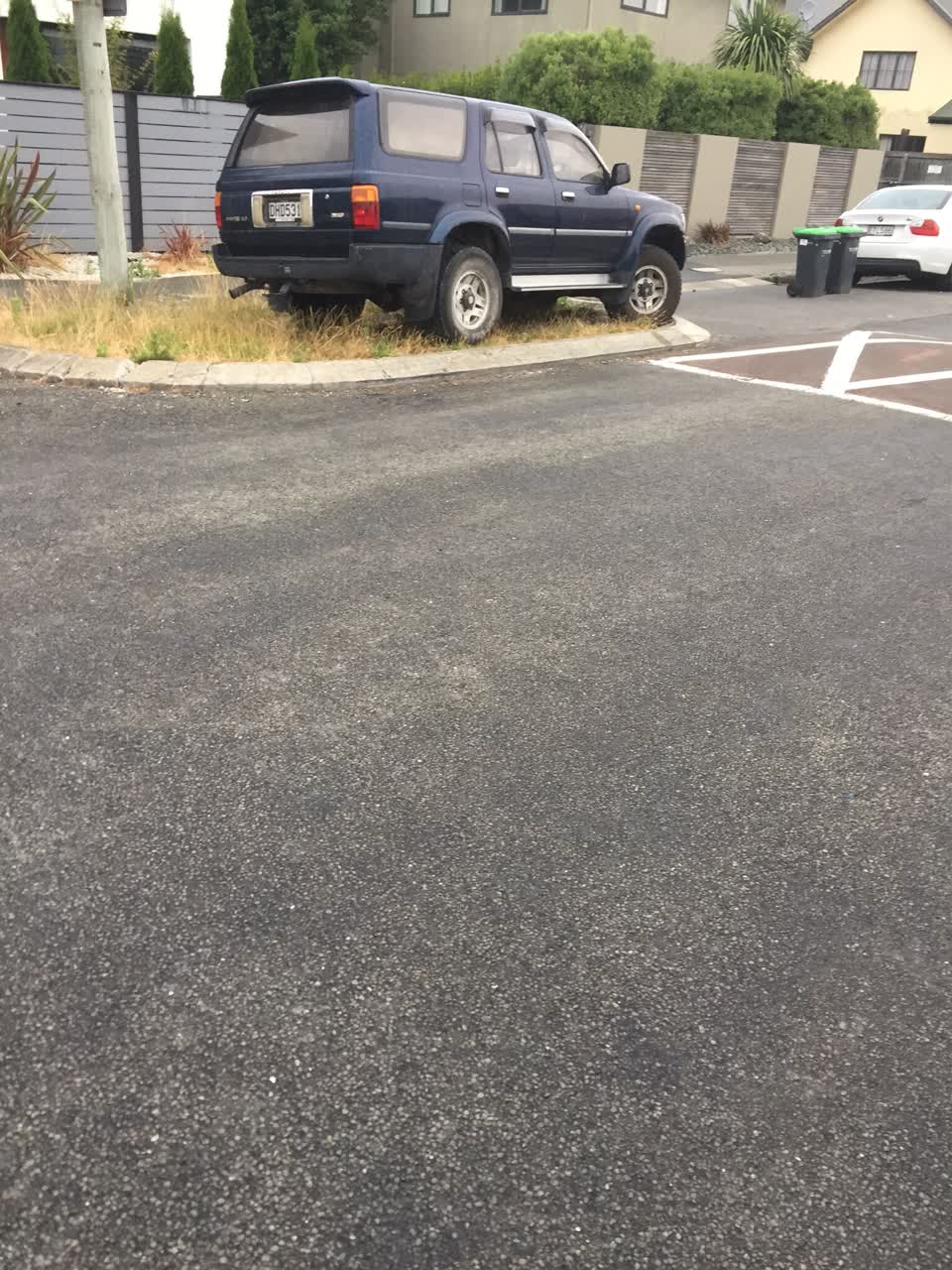 The photograph attached to this parks report