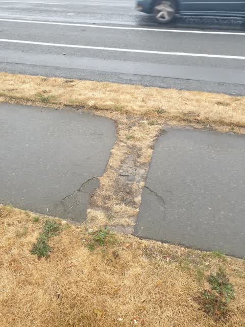 Roading/Streets, a report photo