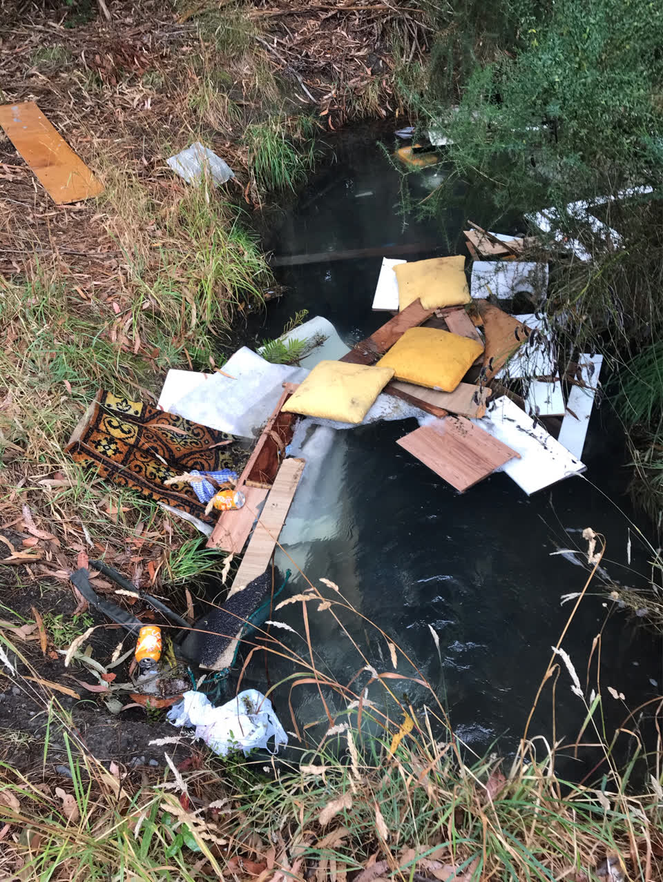 The photograph attached to this rubbish/recycling report