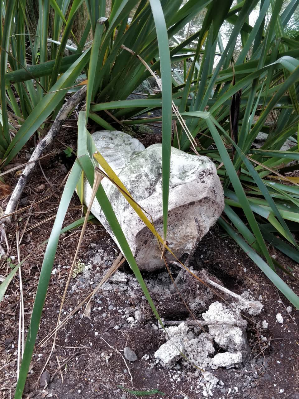The photograph attached to this parks report