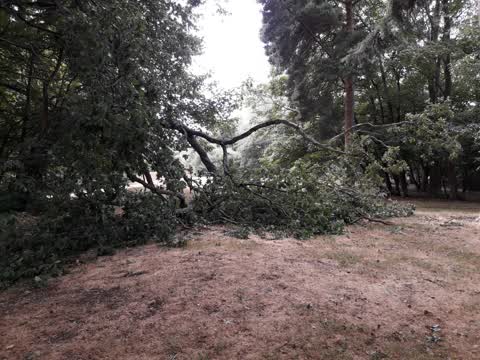 Parks, a report photo
