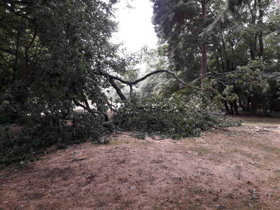 The photograph attached to this parks report