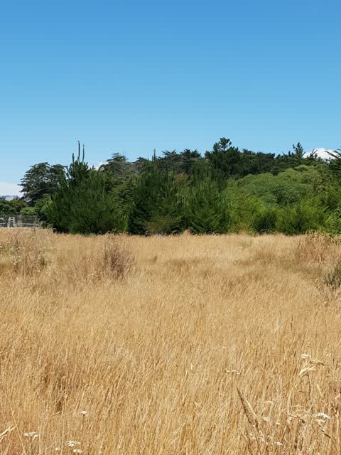 Parks — a report photo