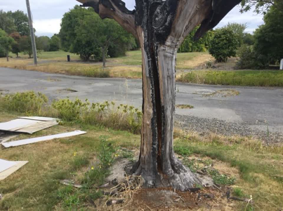 The photograph attached to this parks report