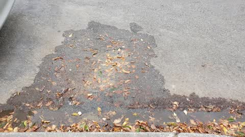 Water Supply, a report photo
