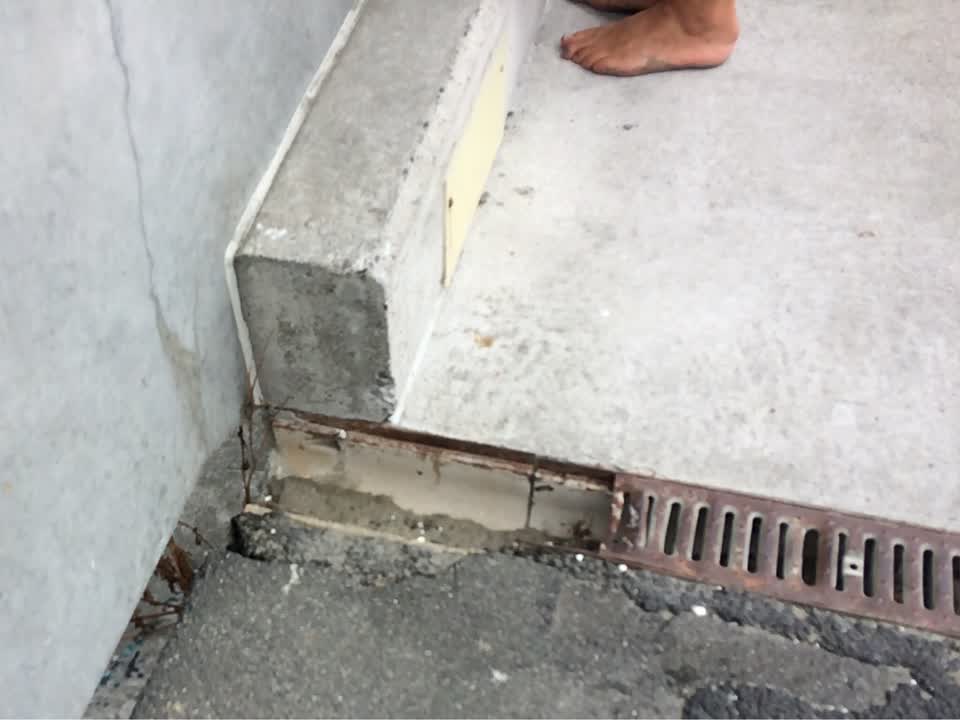 The photograph attached to this parks report