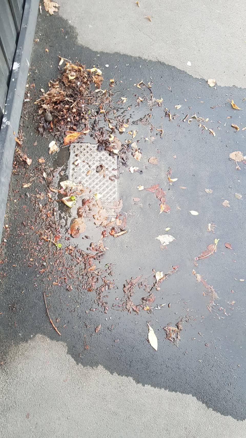 The photograph attached to this water supply report