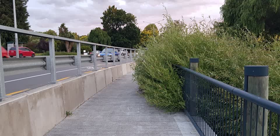 The photograph attached to this parks report