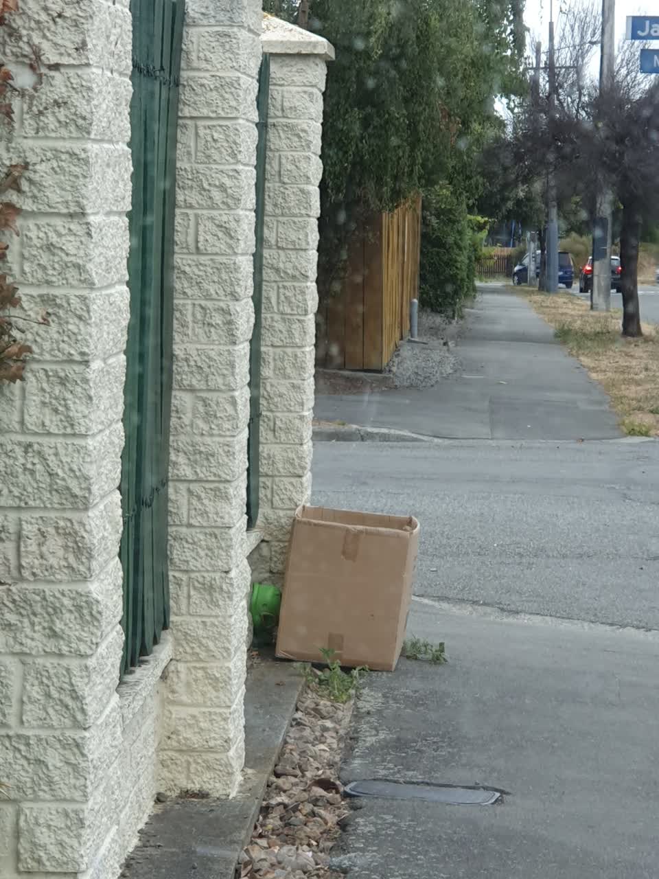 The photograph attached to this rubbish/recycling report