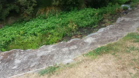 Parks, a report photo