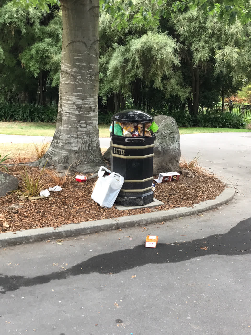 The photograph attached to this rubbish/recycling report