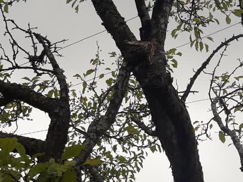 Parks, a report photo