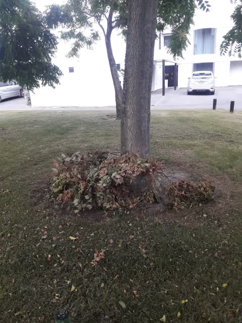 Parks, a report photo