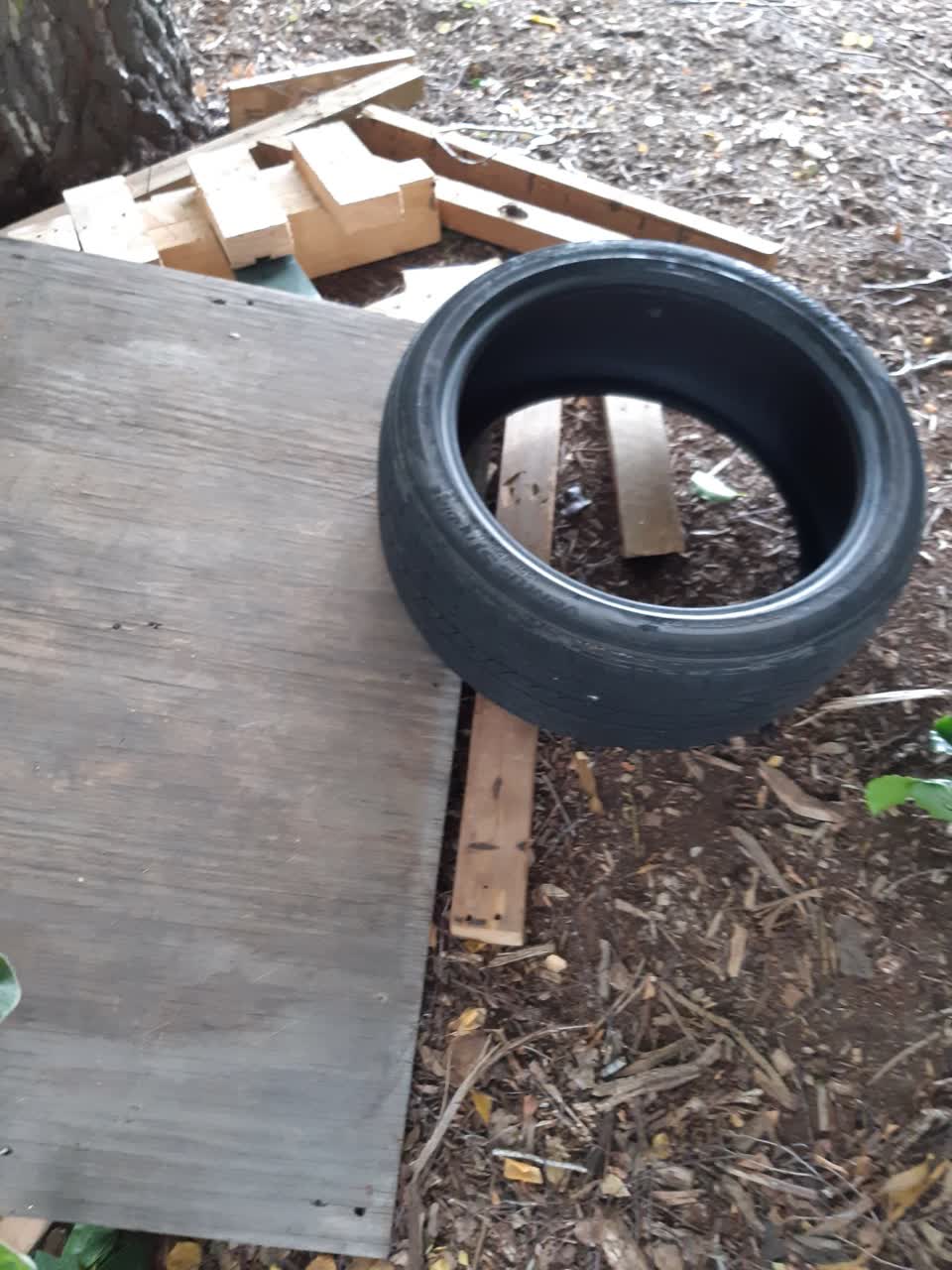 The photograph attached to this parks report
