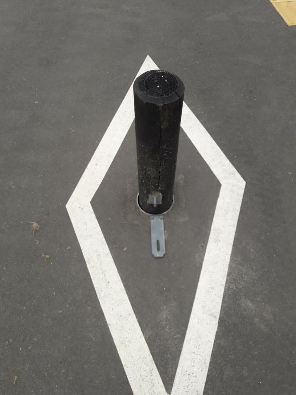 The photograph attached to this parks report