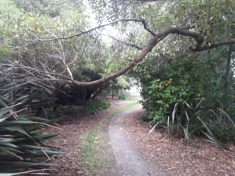 Parks, a report photo