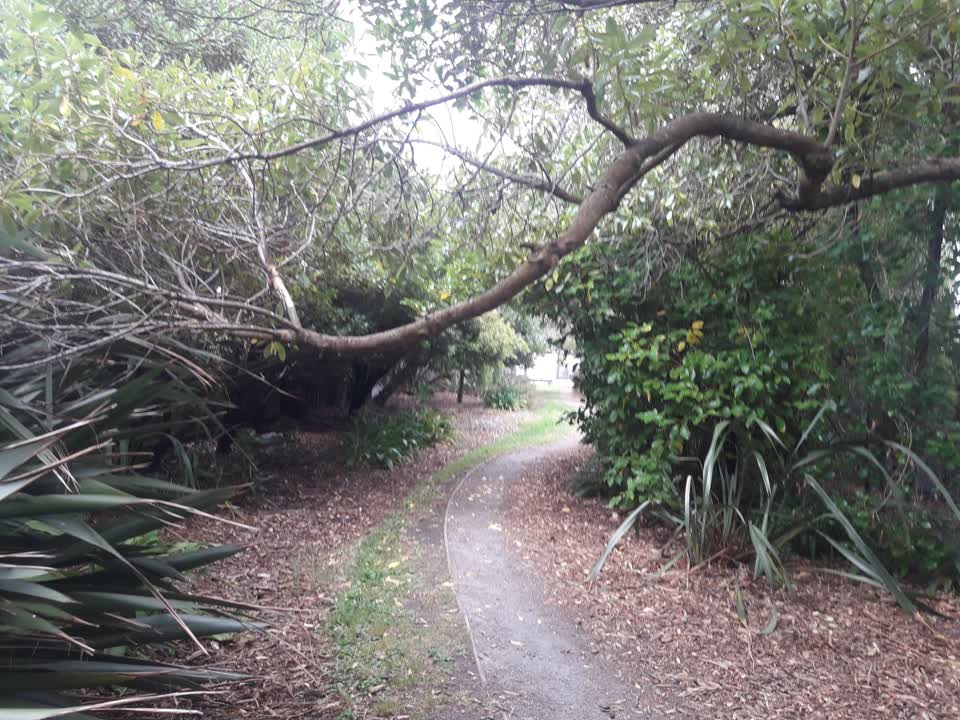 The photograph attached to this parks report