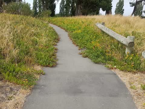 Parks, a report photo