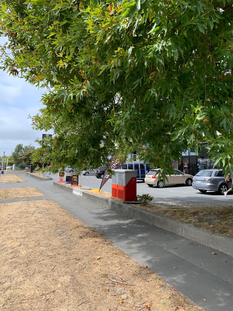 The photograph attached to this parks report
