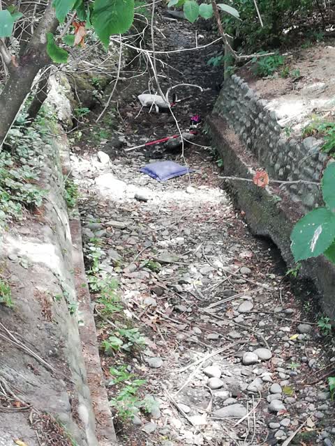 Rubbish/Recycling, a report photo