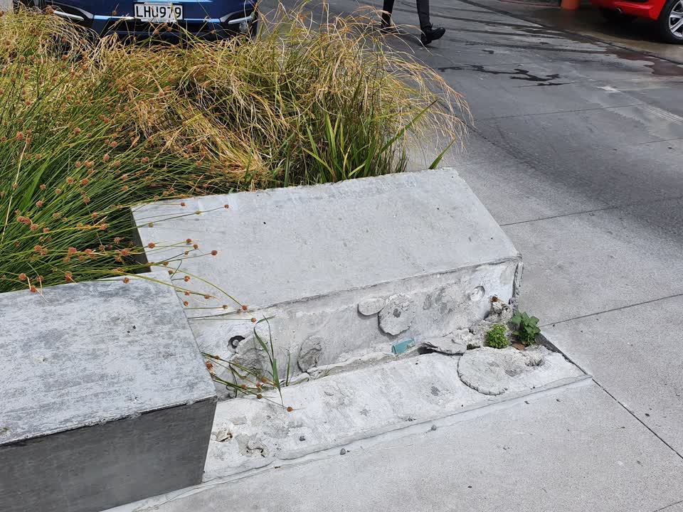 The photograph attached to this parks report