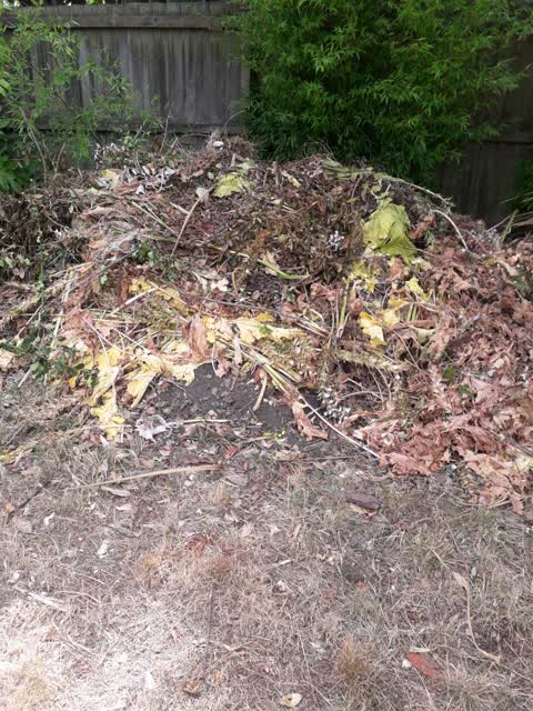 Rubbish/Recycling, a report photo