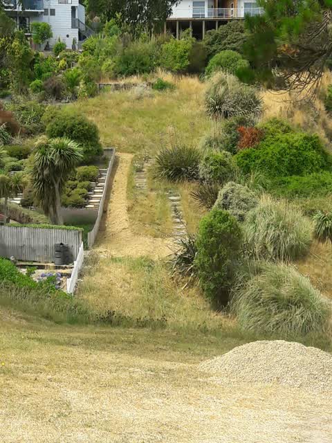 Parks, a report photo
