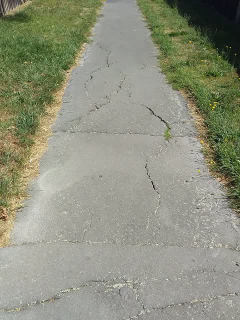 Roading/Streets, a report photo