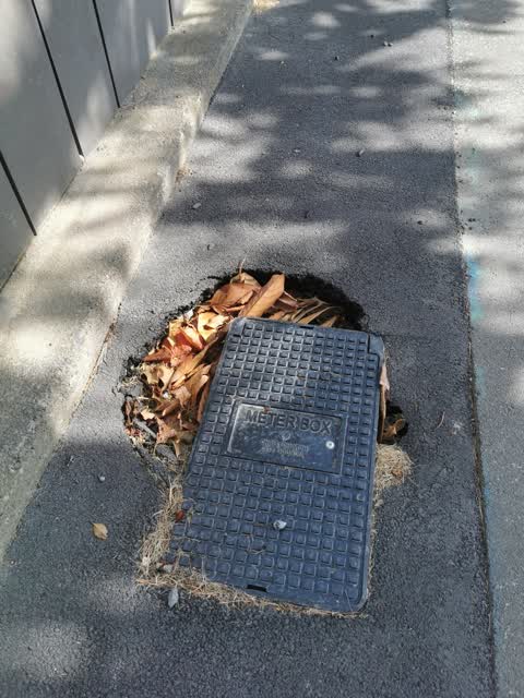 Roading/Streets, a report photo