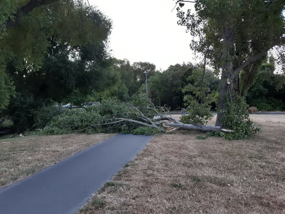 The photograph attached to this parks report