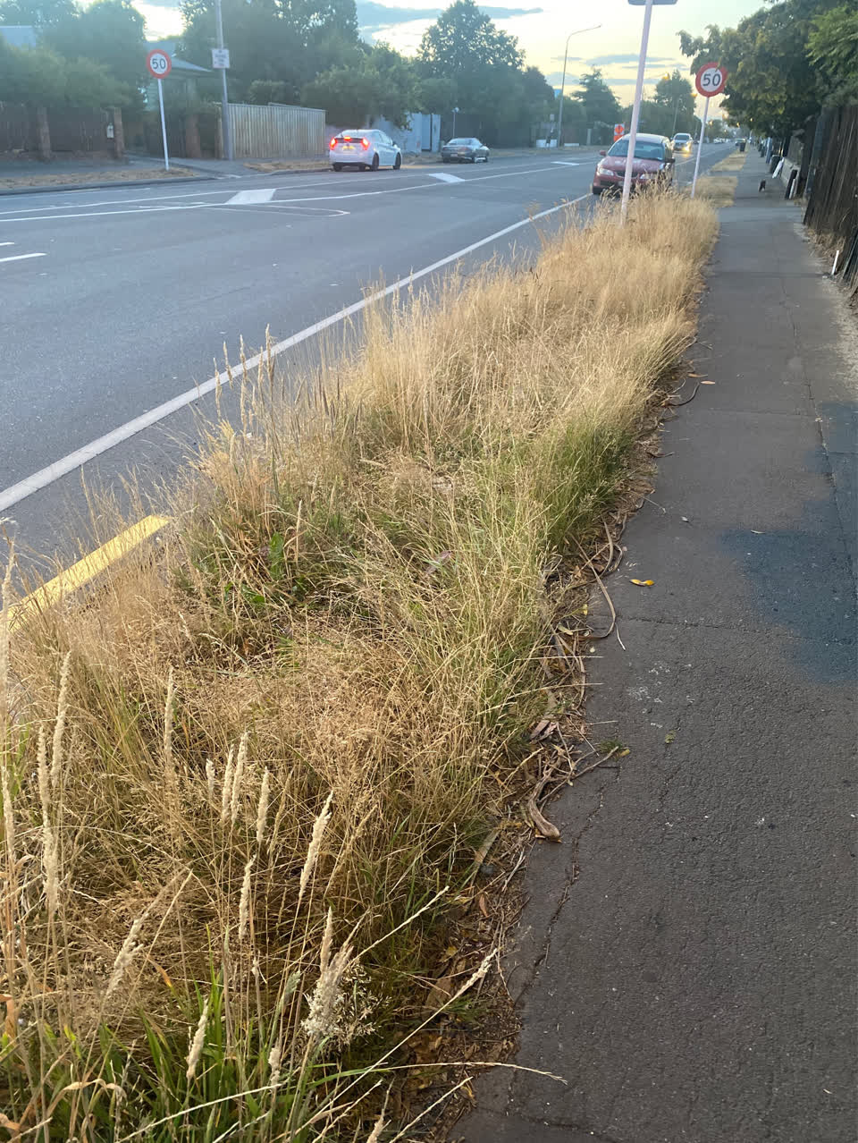 The photograph attached to this roading/streets report