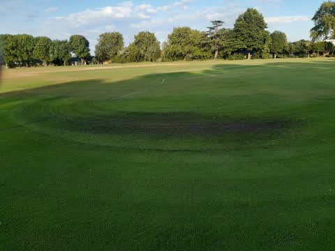 Parks, a report photo