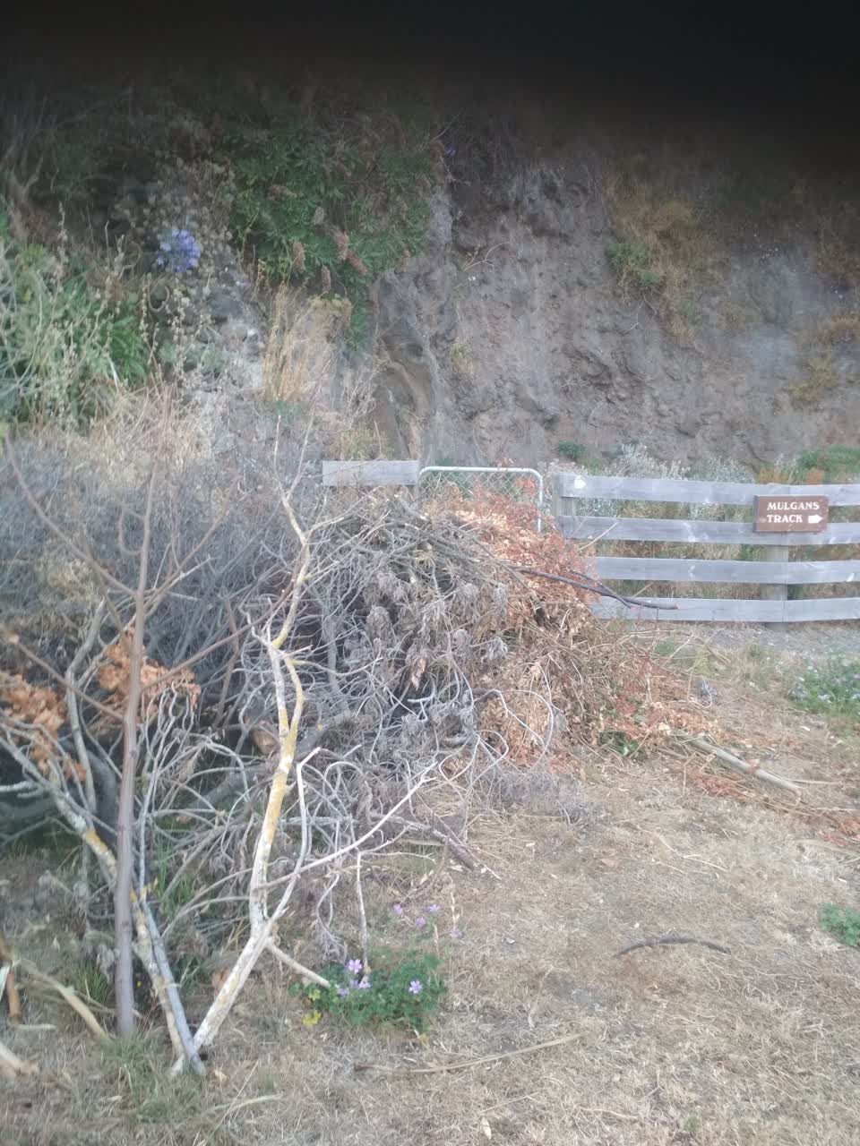 The photograph attached to this roading/streets report