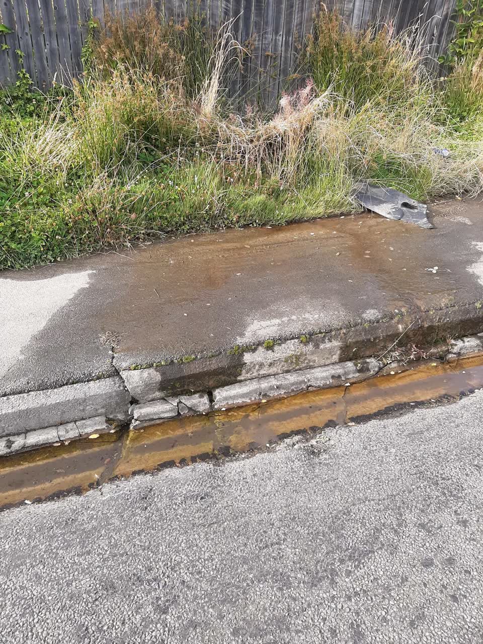 The photograph attached to this water supply report