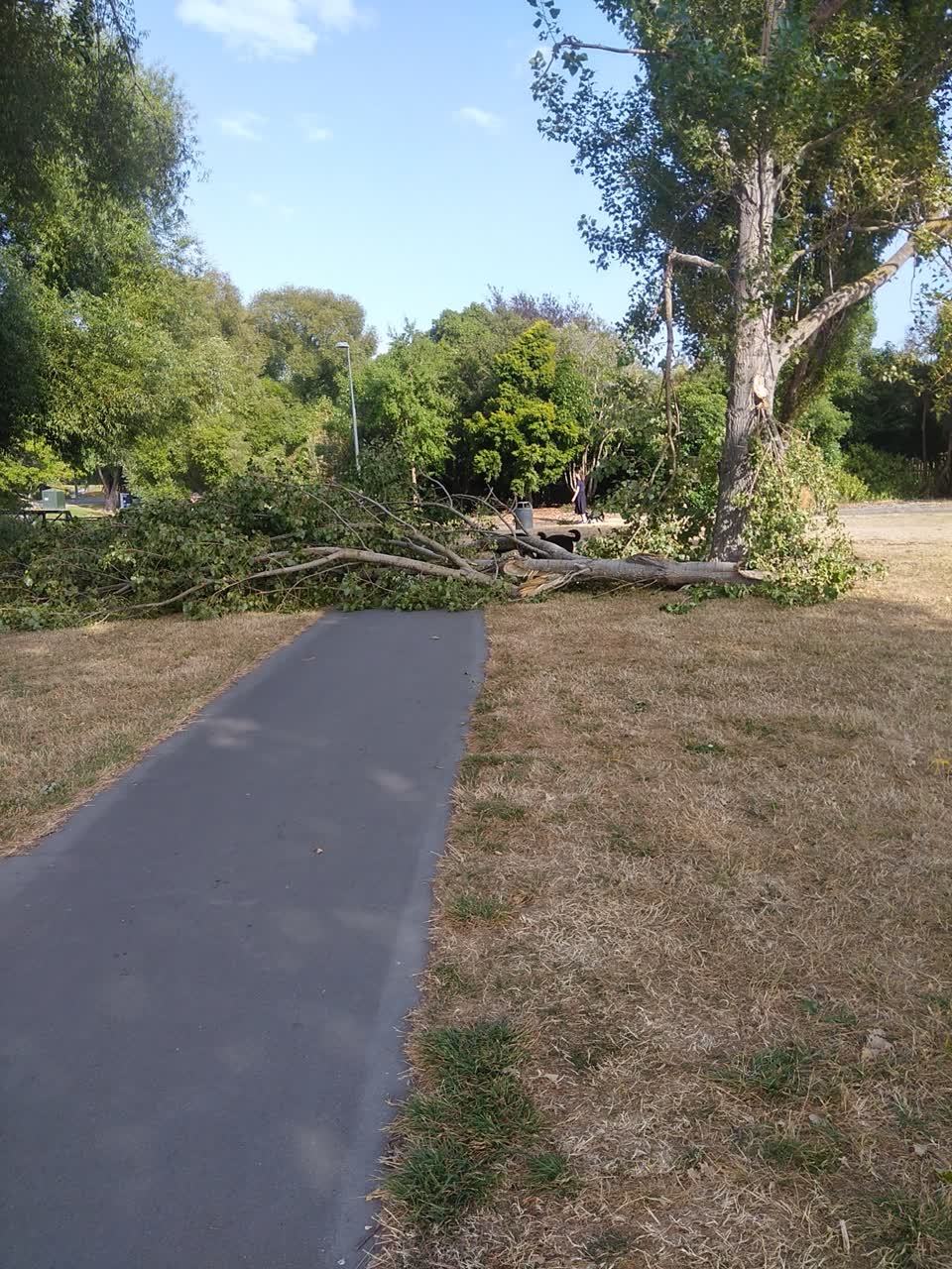 The photograph attached to this parks report