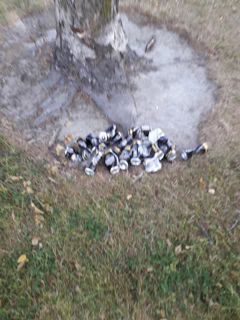 Rubbish/Recycling, a report photo