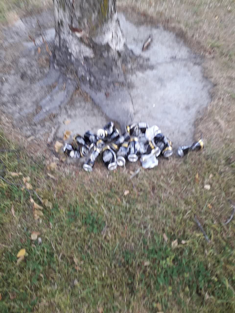 The photograph attached to this rubbish/recycling report