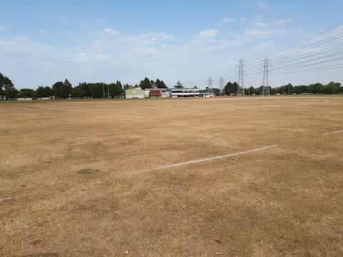 Parks — a report photo