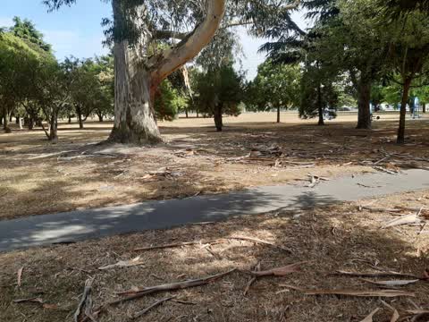Parks, a report photo