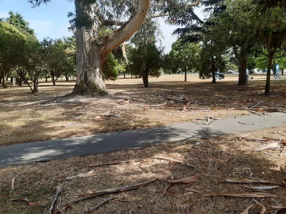 The photograph attached to this parks report