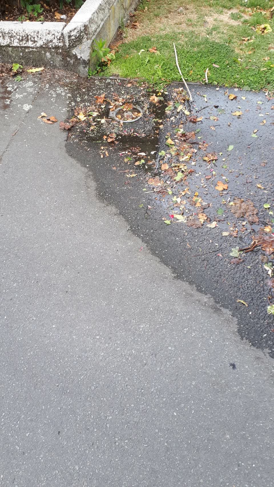 The photograph attached to this water supply report