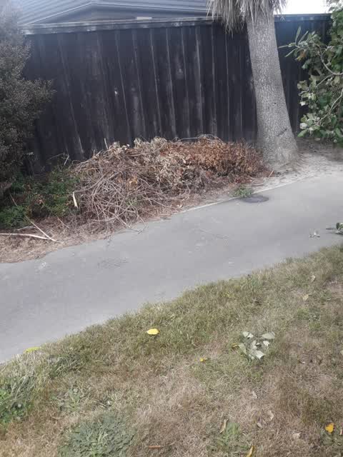 Rubbish/Recycling, a report photo